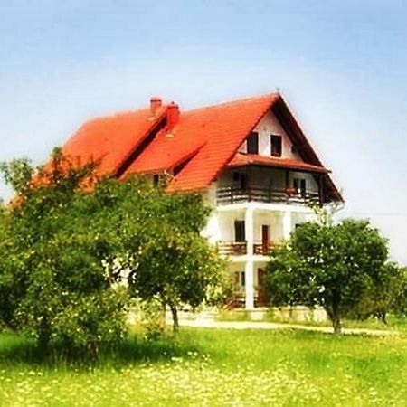 Pensiunea Din Livada Μπραν Εξωτερικό φωτογραφία